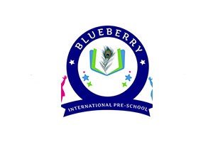Blueberry International Preschool - Viman Nagar, Pune